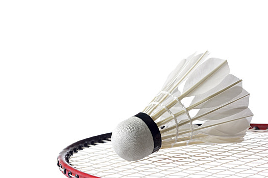 如果你不是 如果你不是