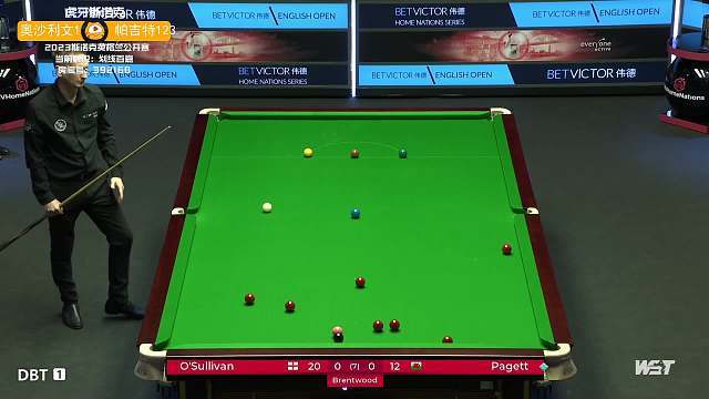 但是这并不 但是这并不