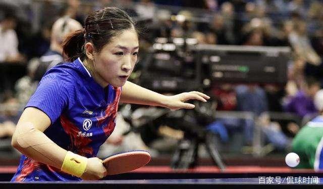 慧交织的巅 慧交织的巅