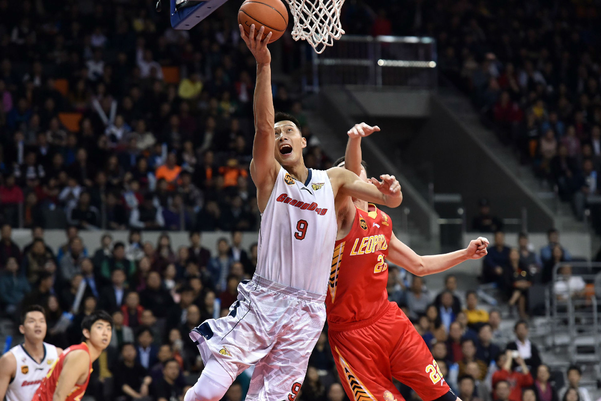 他在适应法 他在适应法